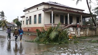 At least 15 dead as Cyclone Freddy hits Mozambique and Malawi again