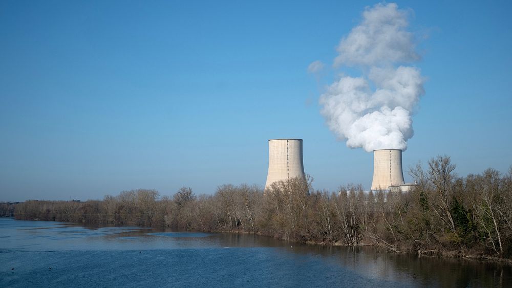 Nuclear power: Why is it such a divisive issue in Europe?