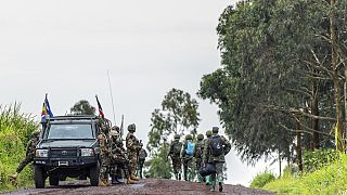 M23 rebellion in the DRC: active diplomatic front, but little hope