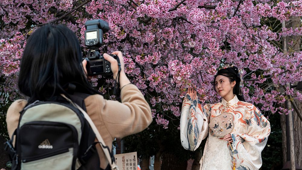 ビデオ: 早春の素晴らしさ: 東京でセンセーショナルな桜を楽しむ