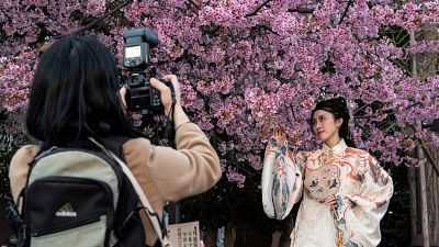  Frau posiert unter den besonders frühen Blüten im Ueno-Park