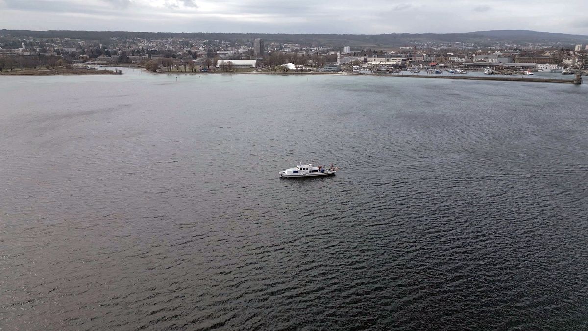 Espèces invasives dans le lac de Constance : "Une catastrophe pour l'écosystème"