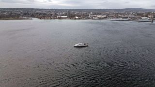 Espèces invasives dans le lac de Constance : "Une catastrophe pour l'écosystème"