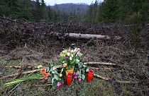 Im Wald bei Freudenberg - unweit von Siegen - wurde die 12-jährige Luise tot aufgefunden