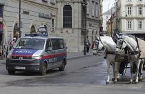 سيارة شرطة بالقرب من كاتدرائية القديس شتيفان في العاصمة النمساوية فيينا