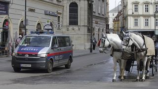 سيارة شرطة بالقرب من كاتدرائية القديس شتيفان في العاصمة النمساوية فيينا