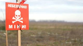 Kherson farmers can only hope to sow 30% of agricultural land due to unexploded mines 