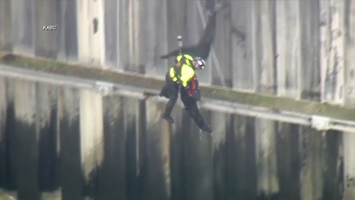 رجل إنقاذ يسحب شخصًا كاد أن يغرق في النهر