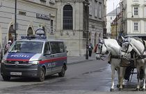 Rendőrautó és fiáker a Stephansdom előtt
