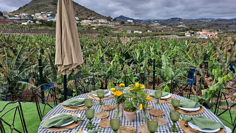 The produce on Gran Canaria is often locally grown - including at a vast banana plantation