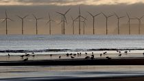 Parque eólico visto desde la playa de Hartlepool, en Inglaterra.