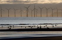 La produzione di turbine eoliche è fra i settori che beneficieranno del Net Zero Industry Act presentato dalla Commissione europea