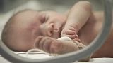Un recién nacido en la unidad de cuidados intensivos neonatales en Bucarest, Rumanía - 2012 archivo