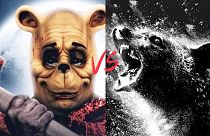 It's the battle of the bears - in cinemas now - 'Winnie-The-Pooh: Blood & Honey' vs 'Cocaine Bear' - FIGHT!