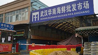 Covid-19'un çıkış yeri olduğu düşünülen Huanan hayvan pazarı