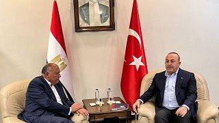 لقاء وزير الخارجية المصري مع نظيره التركي في 27 فبراير إثر الزلزال الذي ضرب البلاد