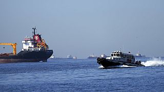 Ukrayna'dan tahıl taşıyan kargo gemileri
