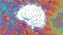 The study sheds new light on how DMT affects the brain