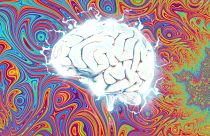 O estudo lança uma nova luz sobre a forma como a DMT afeta o cérebro