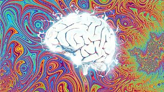 The study sheds new light on how DMT affects the brain  -