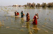 Pakistani women wade through floodwaters as they take refuge in Shikarpur district of Sindh Province, Pakistan.