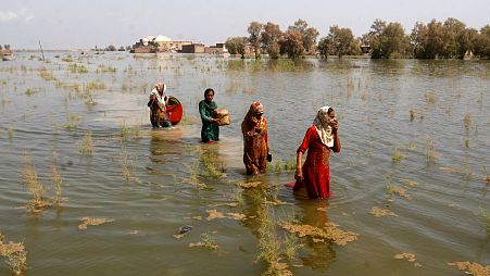 Pakistani women wade through floodwaters as they take refuge in Shikarpur district of Sindh Province, Pakistan.