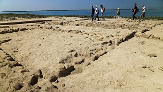 کشف قدیمی‌ترین شهر مروارید در خلیج فارس