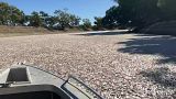Millions of suffocated fish in the Darling River, Australia. 