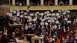 رای عدم اعتماد پارلمان فرانسه به اصلاحات بازنشستگی دولت ماکرون شکست خورد