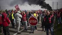 Strikes and protests have continued across France as anger over pension reform grows