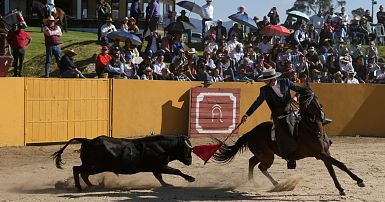 No more bullfighting: a Colombian arena becomes a biodiversity vehicle