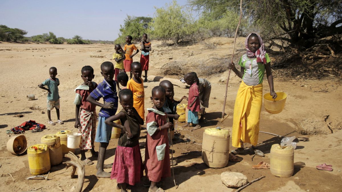 Во время засухи в Кении дети набирают воду в колодце