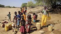 Во время засухи в Кении дети набирают воду в колодце