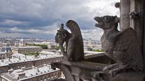 Las famosas gárgolas de la catedral de Notre Dame, cerca de quedar totalmente restauradas