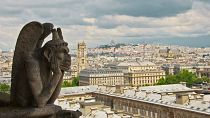 A gargoyle of the Notre Dame Cathedral is seen on July 8, 2014 in Paris. 