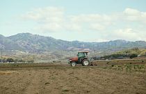 Fukuşima, deprem sonrası tarımsal üretimini canlandırmaya çalışıyor
