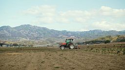 A revitalização agrícola de Fukushima