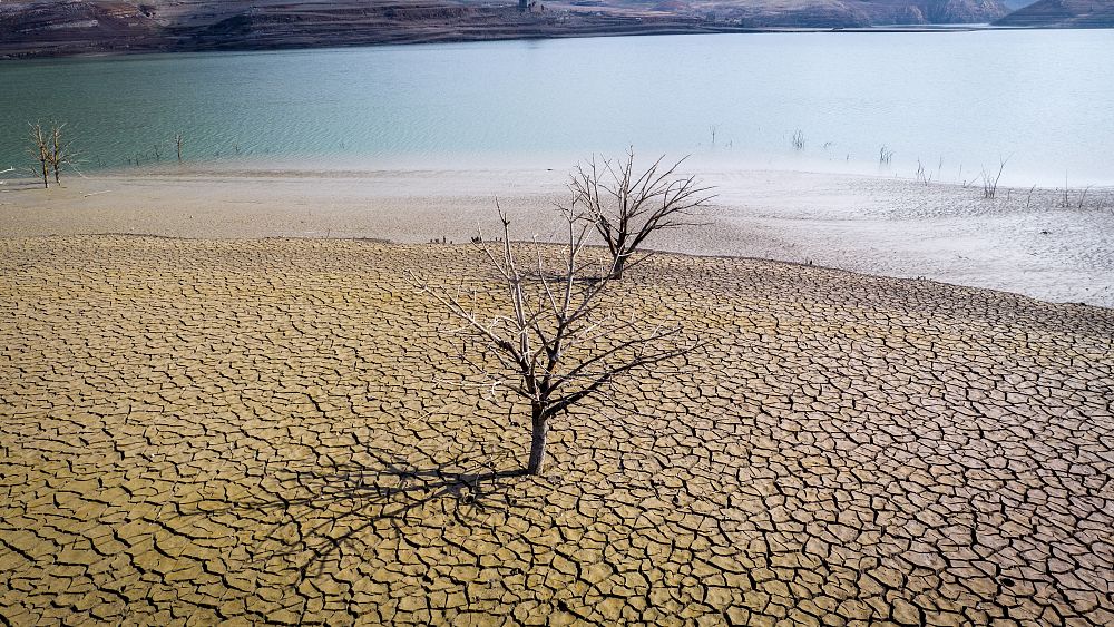 Extreme Trockenheit im Nordosten Spaniens soll noch schlimmer werden