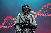 New discoveries reveal the cause of Ludwig van Beethoven's death - here: the statue of the world famous composer in his birthplace Bonn   -