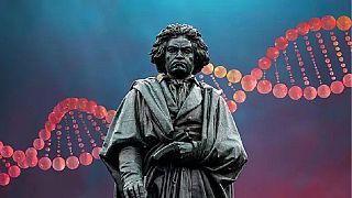 New discoveries reveal the cause of Ludwig van Beethoven's death - here: the statue of the world famous composer in his birthplace Bonn   -  