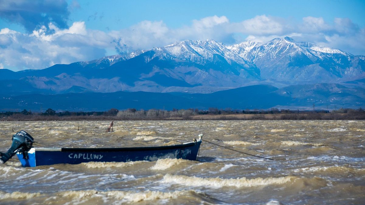 ‘They are serial killers’ How blue crabs are devastating the fishing