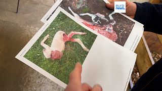 Clichés de moutons tués par le loup en Slovénie
