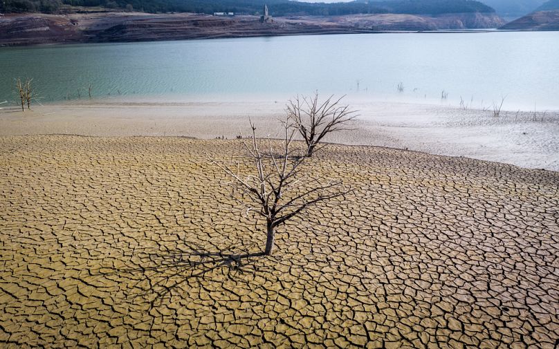 AP Photo/Emilio Morenatti