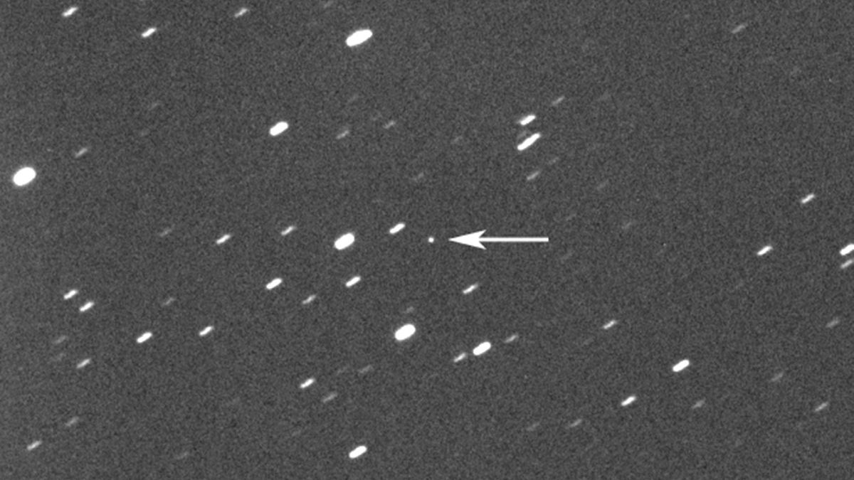 سیارک 2023 DZ2