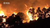 El primer gran incendio forestal de la temporada en España afecta a las provincias de Castellón y Teruel.
