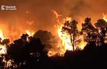 Déjà 4000 hectares ont brûlé