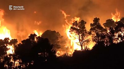 Waldbrand im Osten Spaniens