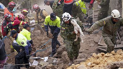 A soldier carries a dog found among the rubble of buildings destroyed by a deadly landslide that buried dozens of homes in Alausi, Ecuador, Monday, March 27, 2023.