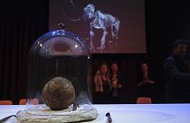 Mamut köftesinin tanıtımı Hollanda'nın Amsterdam kentinde yapıldı
