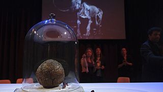 Mamut köftesinin tanıtımı Hollanda'nın Amsterdam kentinde yapıldı